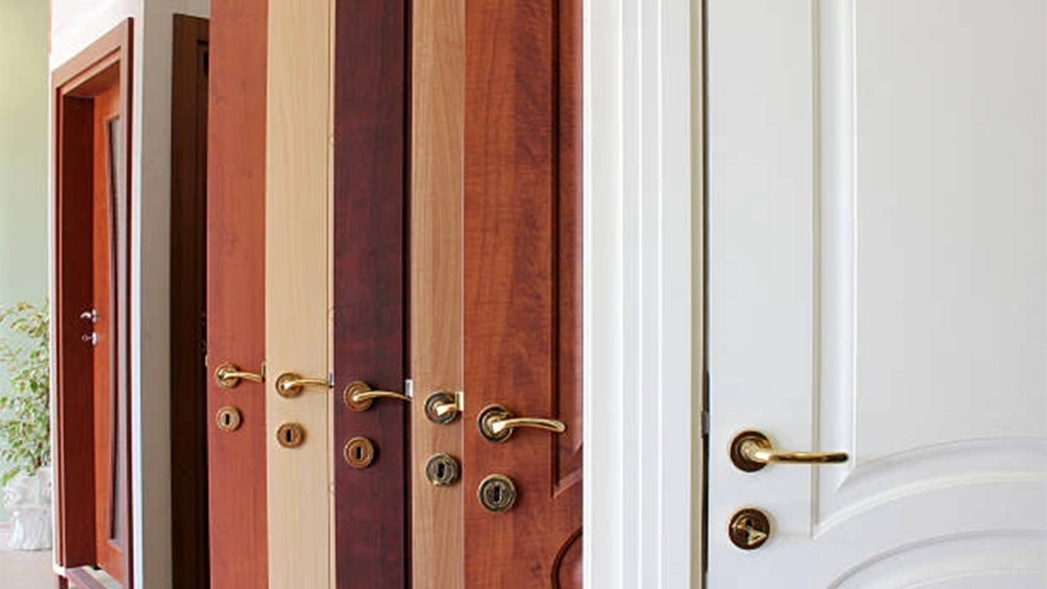 Timber Doors